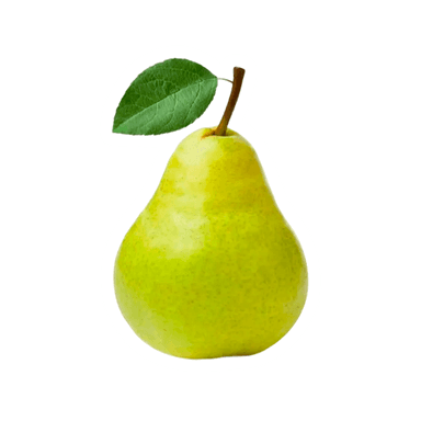 1667_frame.png