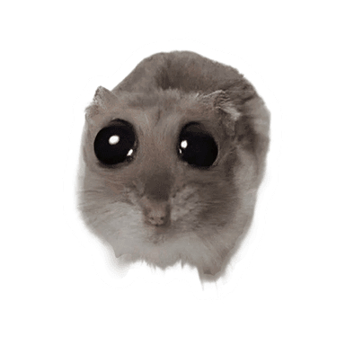 2289_frame.png