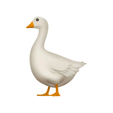 2316_frame.png