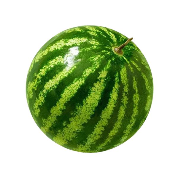 1660_frame.png