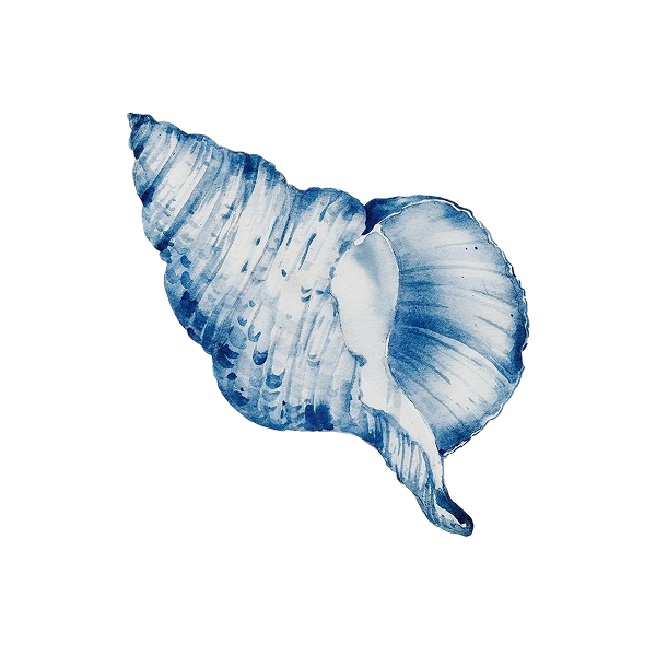 2334_frame.png